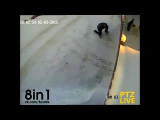 porn поигрался с собачками мужик шёл мимо забора за которым были молодые и засунул под забор ногу porn