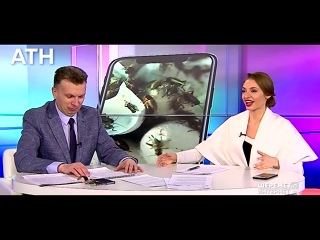 porn японец мечтал о сексе с самкой таракана porn