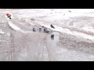 porn началось голая купалась в водопаде real video porn