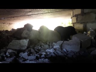 porn видео от бездомные и потерянные молодые в переславле porn