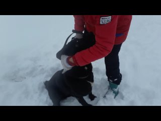 porn видео от бездомные и потерянные молодые в переславле porn