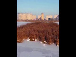 porn недавно замерзшее черное озеро люберцы mp4 porn