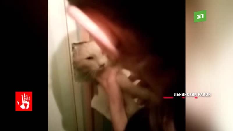 porn хозяйка одной из квартир решилась ломать стену чтобы кошку которая застряла в вентиляции porn