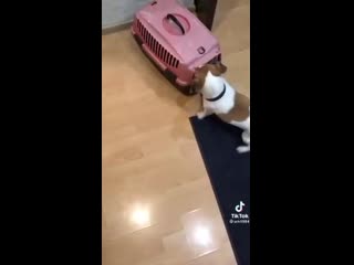 porn лишь бы от этого всего подальше porn