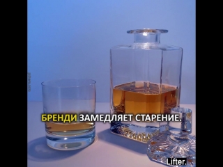 porn полезные свойства алкоголя водка коньяк виски бренди ром porn