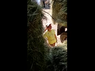 porn видео от частная конюшня старица porn