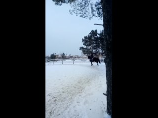 porn видео от частная конюшня старица porn