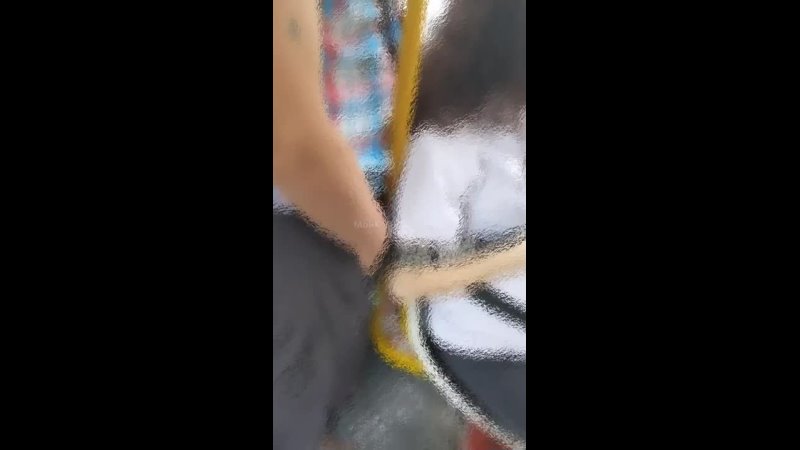 porn видео с онанистом в общественном транспорте напугало жительниц ставрополья porn