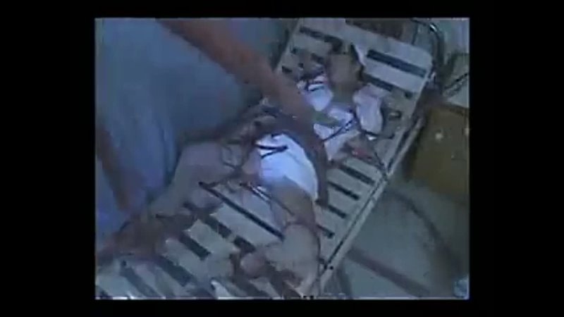 porn sdms 626 японский фильм порно щупальцами ебет на море ебет на море трах реал развел дрочит хуй массаж большие porn