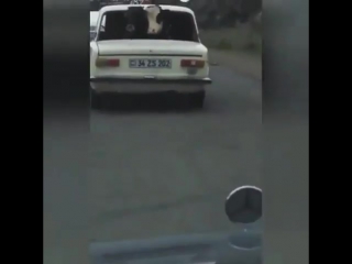 porn что бы телка дала нужно ее покатать по городу только потом к себе домой и там уже ждать продолжения porn