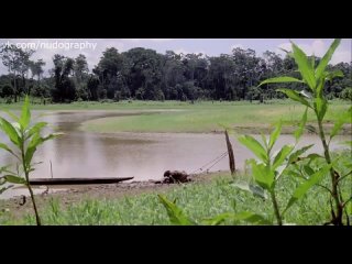 porn сиськи писька и попка люсии костантини lucia costantini в фильме ад каннибалов cannibal holocaust 1980 руджеро porn