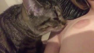 porn киса лижет киску 18 кошечка сосочки титьки влажная porn