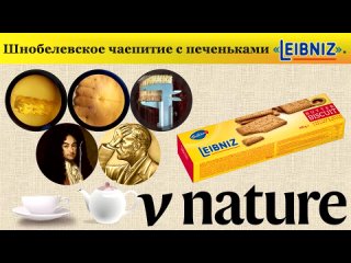 porn шнобелевское чаепитие с печеньками лейбниц porn
