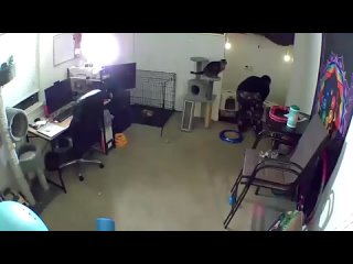 porn не для слабонервных камера наблюдения засняла жестокое нападение porn