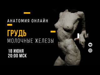 porn грудь молочные железы образовательный прямой эфир porn