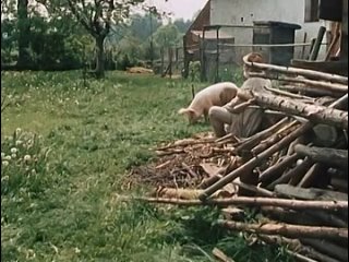 porn радужный шарик duhova kulicka 1985 одноголосый перевод porn