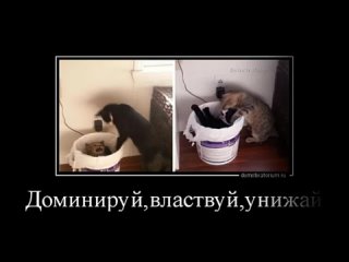porn неприличные правдивые новые русские демотиваторы вялотекущая месть наша russia porn