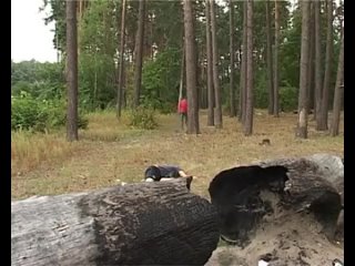 porn раскидал алкашей романтика жесть ржака постмодернизм угар порно троль сиськи член жопаминет контркультура миньет porn