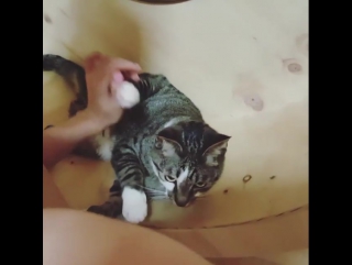 porn worn waveya ari on instagram 070716 porn