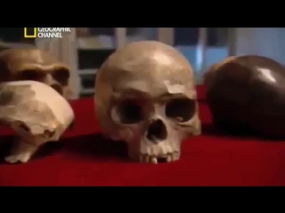 porn 18 история секса каков был секс древности документальный фильм national geographic porn