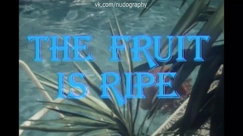 porn бетти верже betty vergès в бассейне в фильме греческая смоковница griechische feigen the fruit is ripe 1977 porn