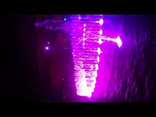 porn ocean park в гонконге вечернее представление для гостей парка porn