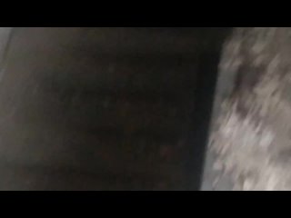 porn проект ультра лис в поисках паранормального серия 8 ч 4 porn