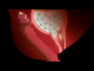 porn mouryou no nie хентай 3d порно аниме приятного просмотра минет секс тентакли porn