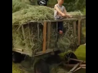 porn неплохой прибор ytgkjjq ghbjh porn