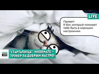 porn стартапніца moodmate персанальны трэнер па добрым настроі porn
