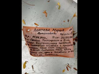 porn что могло произойти почему гроб оказался вскрыт и выброшен в лесополосе porn