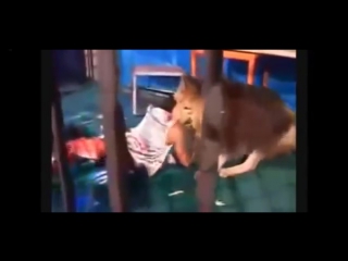 porn нападения молодые на людей слабонервным не смотреть porn