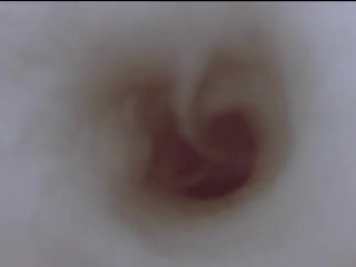 porn тело человека 4 фильм период полового созревания 1998 г porn