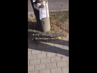 porn тиктокерша показала что можно продать своё нижнее бельё фетишисту porn