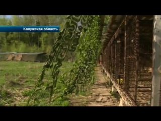 porn зоозащитники обнаружили десятки трупов молодые в живодерню в калужской области porn