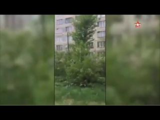porn очевидцы вели трансляцию страшного пожара в многоэтажке в петербурге porn