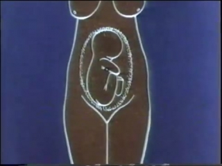 porn исследования беременной в третьем триместре study pregnant porn