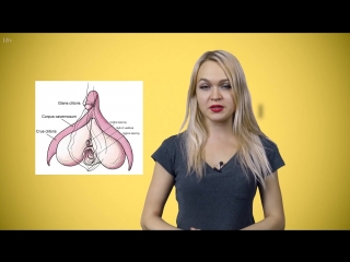 porn клитор топ 10 фактов о клиторе которые ты точно не знал стимуляция оргазм porn