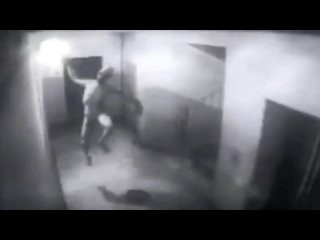 porn странное существо попало в объектив камеры установленной в подъезде porn