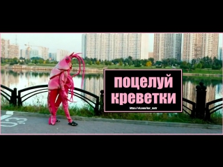 porn поцелуй креветки короткометражный фильм короткий метр porn