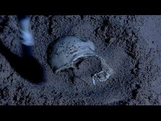 porn как искусство сотворило мир серия 1 более человеческое чем сам человек more human than human porn