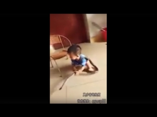 porn маленький мальчик из китая беспечно играет со змеёй porn