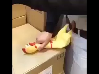porn ненормальный мужчина трахает курицу или секс с цыпочкой porn