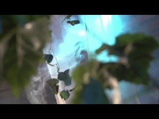 porn пелена эротическое видео и стриптиз на candytv eu porn