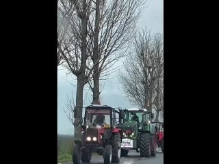 porn обстановочка в германии по кайфу радует глаз лето и арбалеты щас фермера подъедут brussinf t medonbassinfograd porn