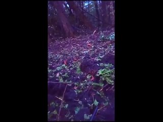 porn чтоб было понятно тем кто в тылу с какими боями наши продвигаются вперед останавливаться нельзя только вперед porn