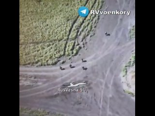 porn военные всу начали сдаваться тважным целыми подразделениями на покровском направлении противник не выдерживает нати porn