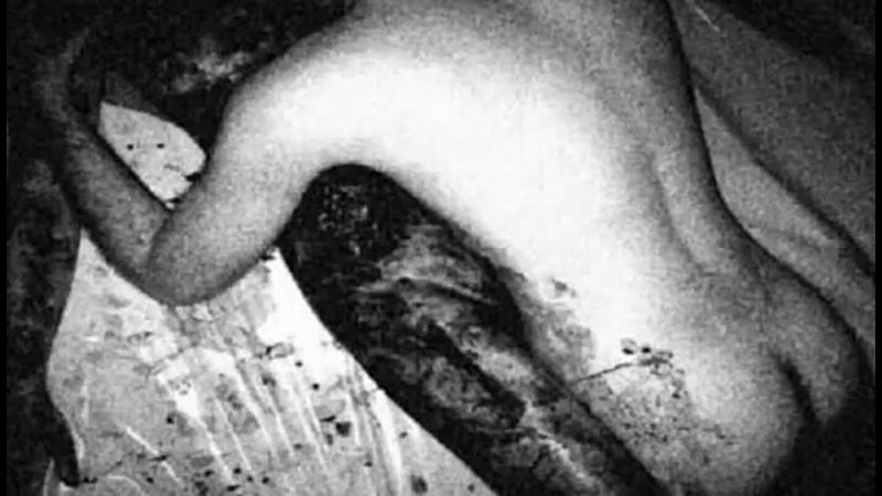 porn снафф не содержит реальные сцены молодые porn