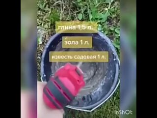 porn лечим нашу яблоню рекомендую воспользоваться советом porn