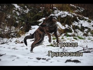 porn видео от пღмღщь приюту для молодые и бездомным секс porn